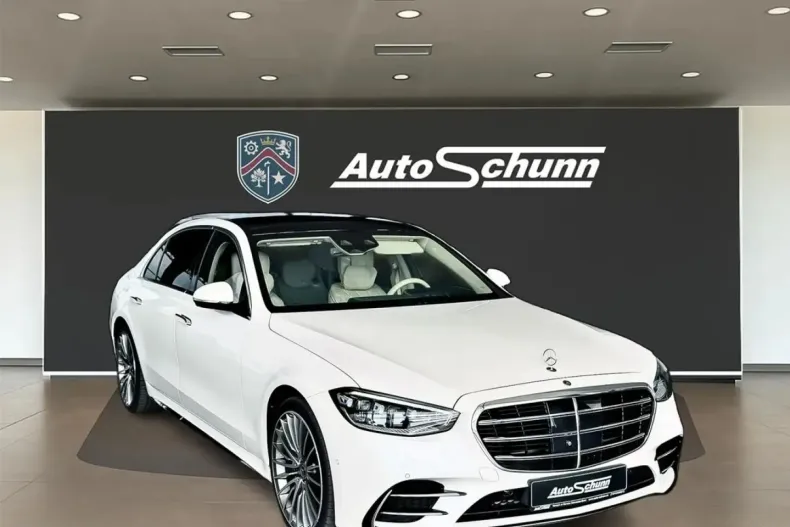 Mercedes-Benz S 250 (Clasa S) din 2022 cu 82.000 km - oferta MER245260 - foto 23