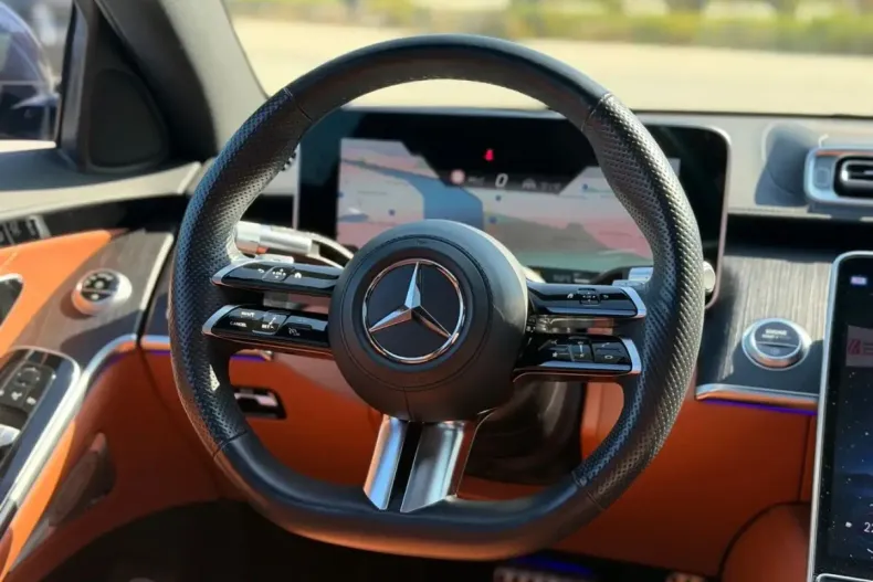 Mercedes-Benz S 250 (Clasa S) din 2022 cu 82.121 km - oferta MER245390 - foto 37