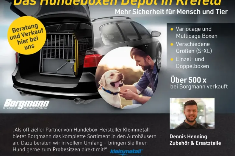 Audi Q8 din 2023 cu 42.733 km - oferta AUD245454 - foto 18