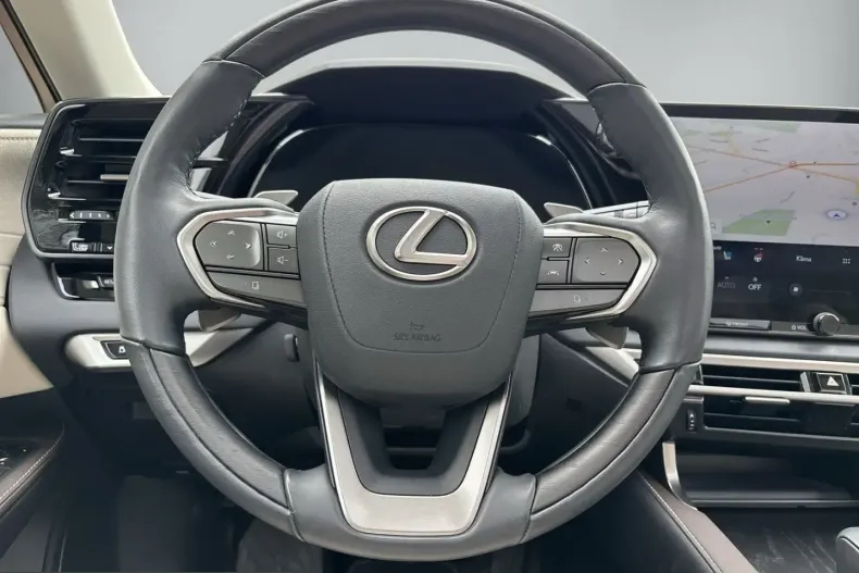 Lexus RX 450 din 2023 cu 22.889 km - oferta LEX245934 - foto 12