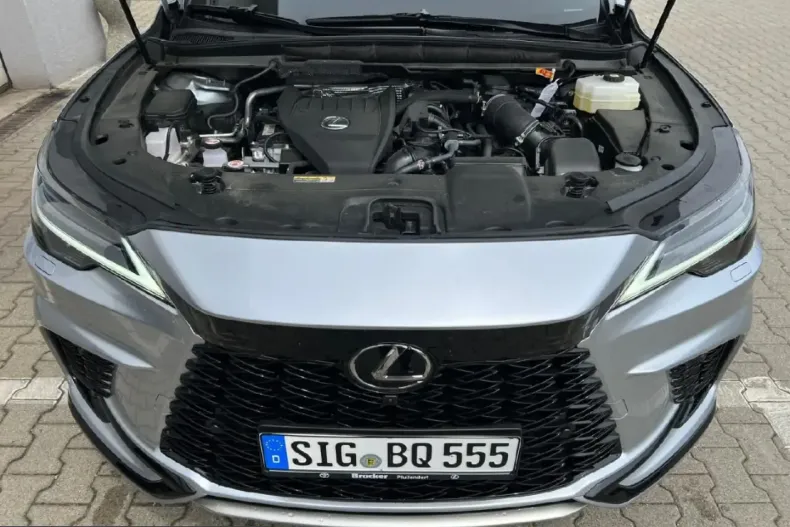 Lexus RX 500 din 2023 cu 89.000 km - oferta LEX245938 - foto 13