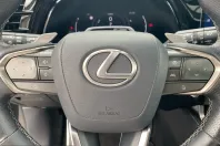 Lexus RX 500 din 2023 cu 92.900 km - oferta LEX245948 - foto 12