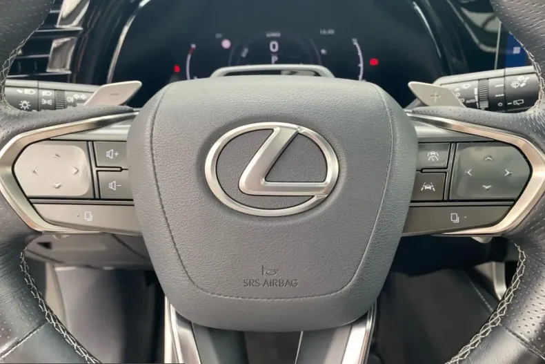 Lexus RX 500 din 2023 cu 92.900 km - oferta LEX245948 - foto 12