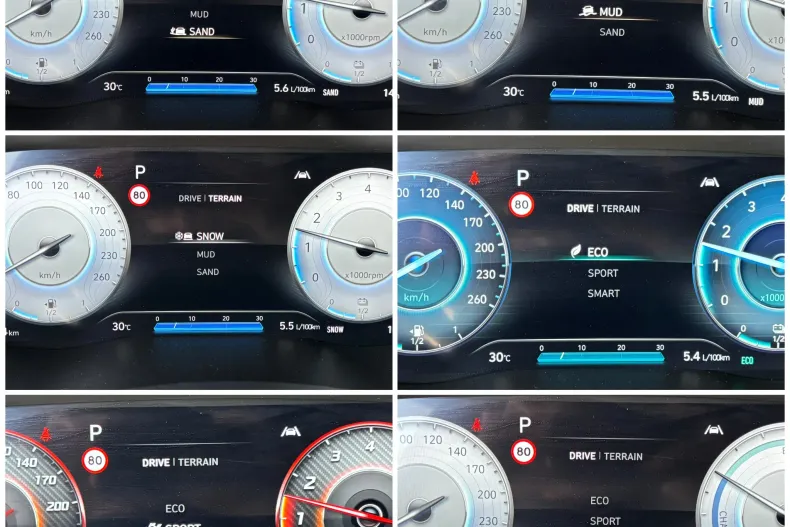 Hyundai Santa Fe din 2023 cu 142.000 km - oferta HYU246137 - foto 22