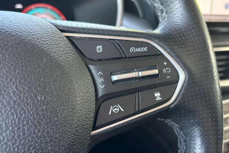 Hyundai Santa Fe din 2023 cu 176.300 km - oferta HYU246138 - foto 33
