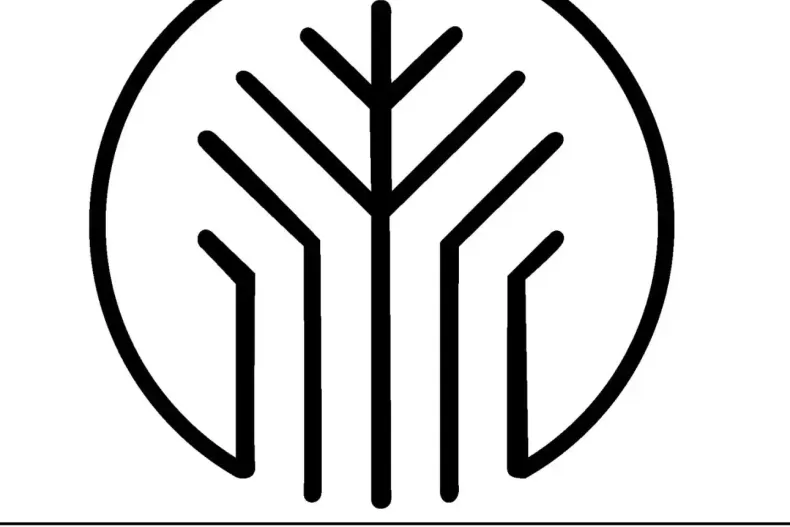Audi SQ8 din 2023 cu 59.199 km - oferta AUD246256 - foto 45