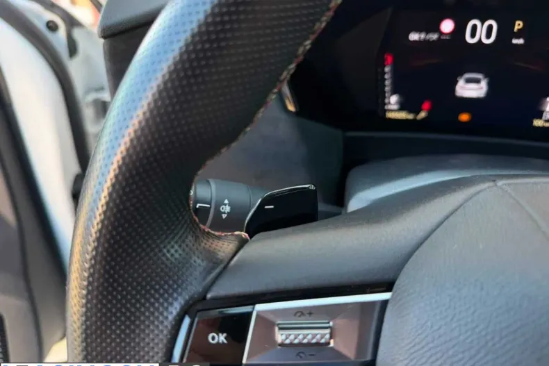 DS Automobiles DS 4 din 2022 cu 145.000 km - oferta DSA247666 - foto 20