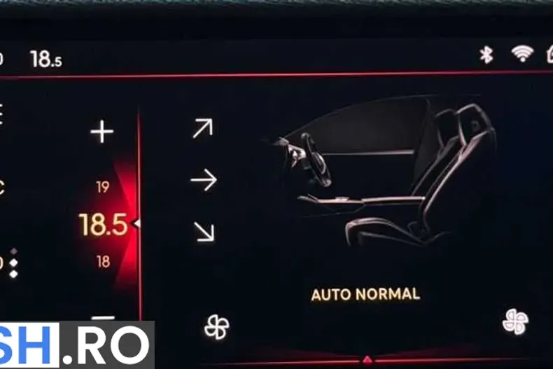 DS Automobiles DS 4 din 2022 cu 145.000 km - oferta DSA247666 - foto 32