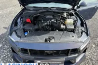 Ford Mustang din 2024 cu 16.084 km - oferta FOR249206 - foto 23
