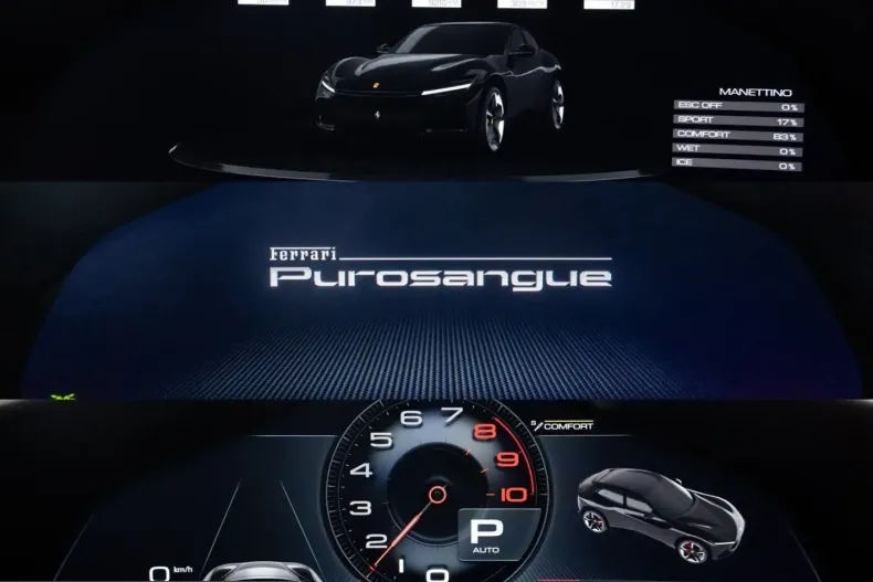 Ferrari Purosangue din 2024 cu 9.500 km - oferta FER249391 - foto 48