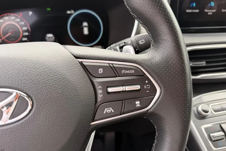 Hyundai Santa Fe din 2021 cu 142.000 km - oferta HYU249701 - foto 37