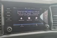 Skoda Kodiaq din 2023 cu 142.228 km - oferta SKO250967 - foto 23