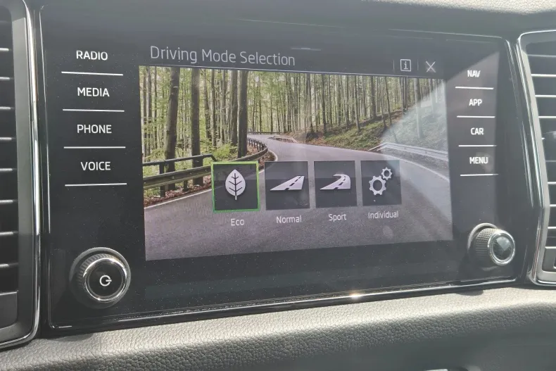 Skoda Kodiaq din 2023 cu 142.228 km - oferta SKO250967 - foto 26