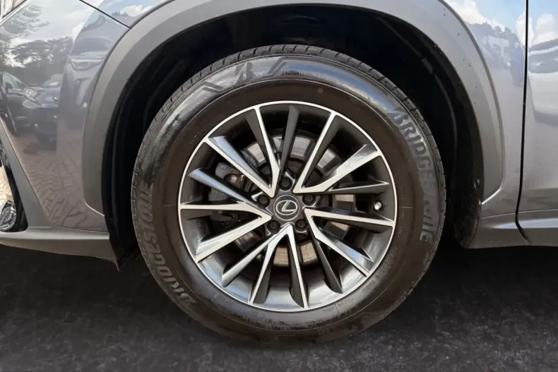 Lexus NX 450h din 2022 cu 48.393 km - oferta LEX251854 - foto 18