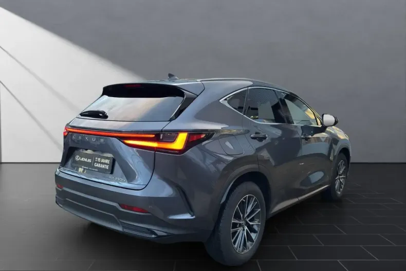 Lexus NX 450h din 2023 cu 29.847 km - oferta LEX251857 - foto 5