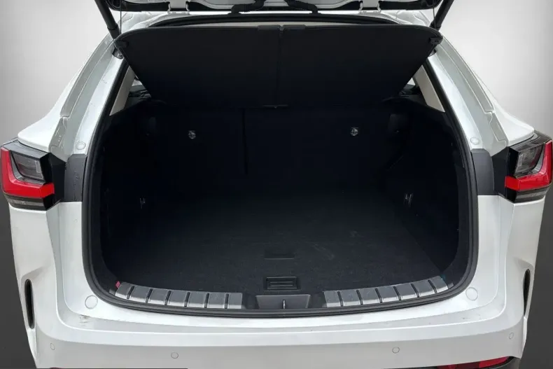 Lexus NX 350h din 2024 cu 29.408 km - oferta LEX251882 - foto 17