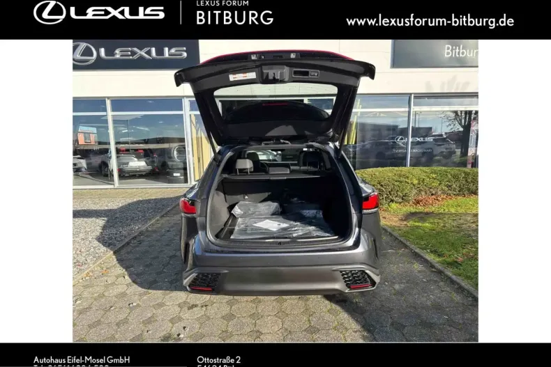Lexus RX 450 din 2025 cu 9.500 km - oferta LEX252065 - foto 13