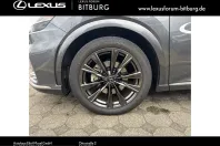 Lexus RX 450 din 2025 cu 9.500 km - oferta LEX252065 - foto 14