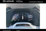 Lexus RX 450 din 2025 cu 9.500 km - oferta LEX252065 - foto 16
