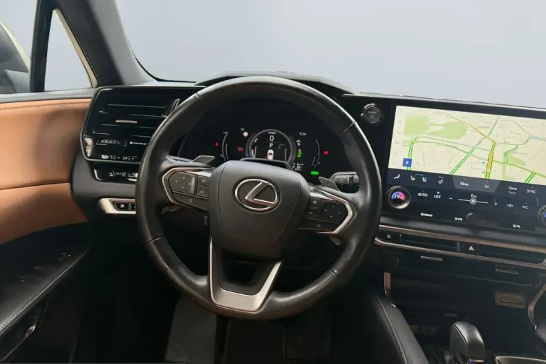 Lexus RX 450 din 2023 cu 39.800 km - oferta LEX252068 - foto 9