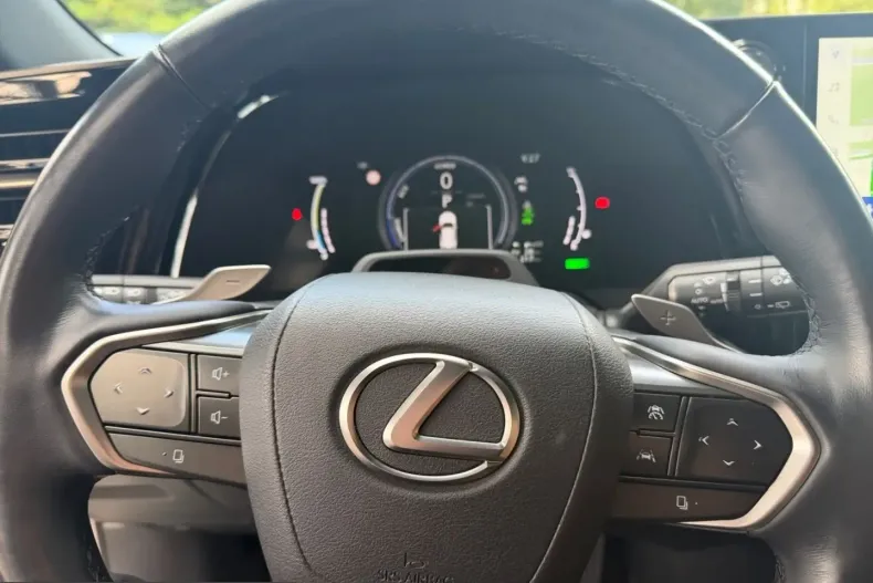 Lexus RX 450 din 2023 cu 39.800 km - oferta LEX252068 - foto 10