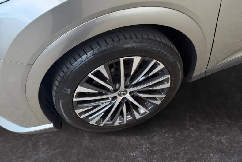 Lexus RX 450 din 2023 cu 39.800 km - oferta LEX252068 - foto 18