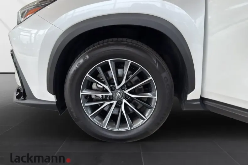 Lexus NX 450h din 2025 cu 12.275 km - oferta LEX252094 - foto 13