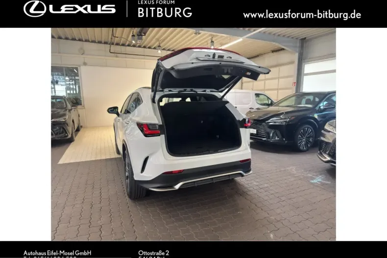 Lexus NX 350h din 2024 cu 29.000 km - oferta LEX252565 - foto 13
