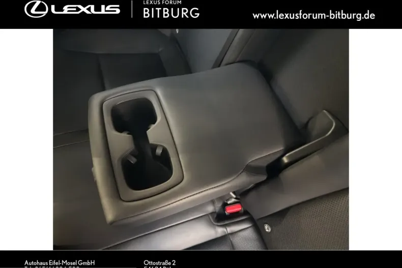 Lexus NX 350h din 2024 cu 29.000 km - oferta LEX252565 - foto 23