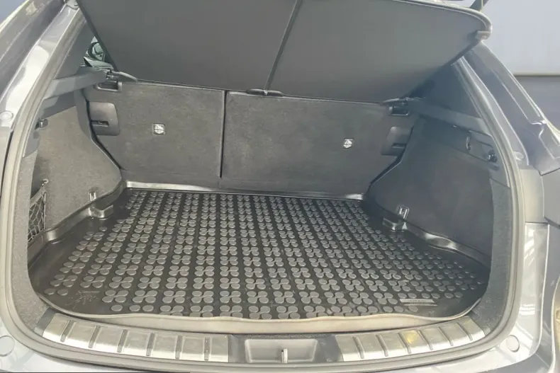 Lexus NX 450h din 2023 cu 51.790 km - oferta LEX252842 - foto 18