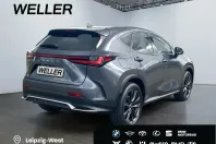 Lexus NX 450h din 2023 cu 51.790 km - oferta LEX252842 - foto 19