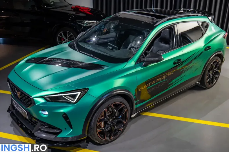 Cupra Formentor din 2023 cu 46.450 km - oferta CUP252885 - foto 14