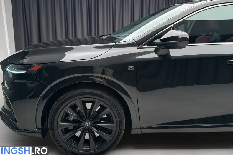 Lexus RX 500 din 2024 cu 55.303 km - oferta LEX254394 - foto 8