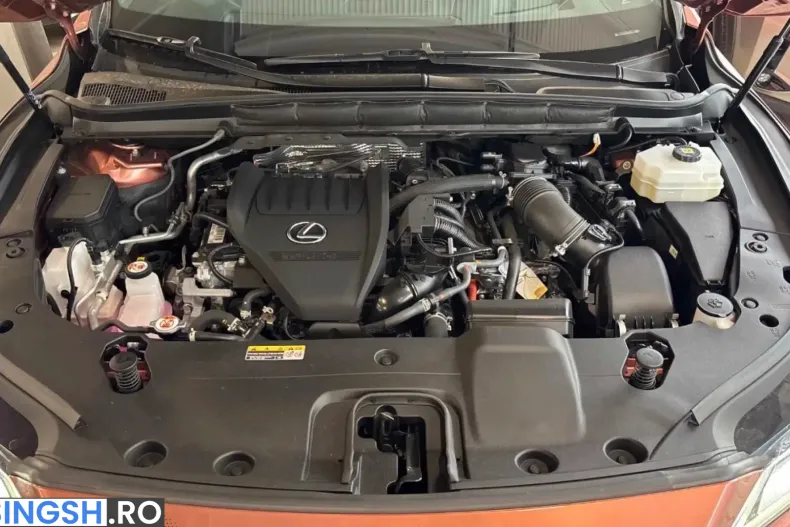 Lexus RX 500 din 2023 cu 73.980 km - oferta LEX255205 - foto 15