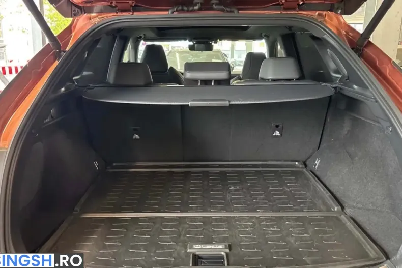 Lexus RX 500 din 2023 cu 73.980 km - oferta LEX255205 - foto 16