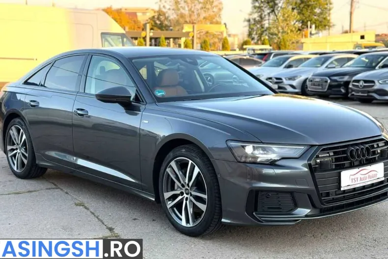 Audi A6 din 2023 cu 101.000 km - oferta AUD255654 - foto 12