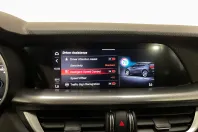 Alfa Romeo Stelvio din 2022 cu 126.393 km - oferta ALF255709 - foto 16
