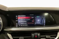 Alfa Romeo Stelvio din 2022 cu 126.393 km - oferta ALF255709 - foto 17