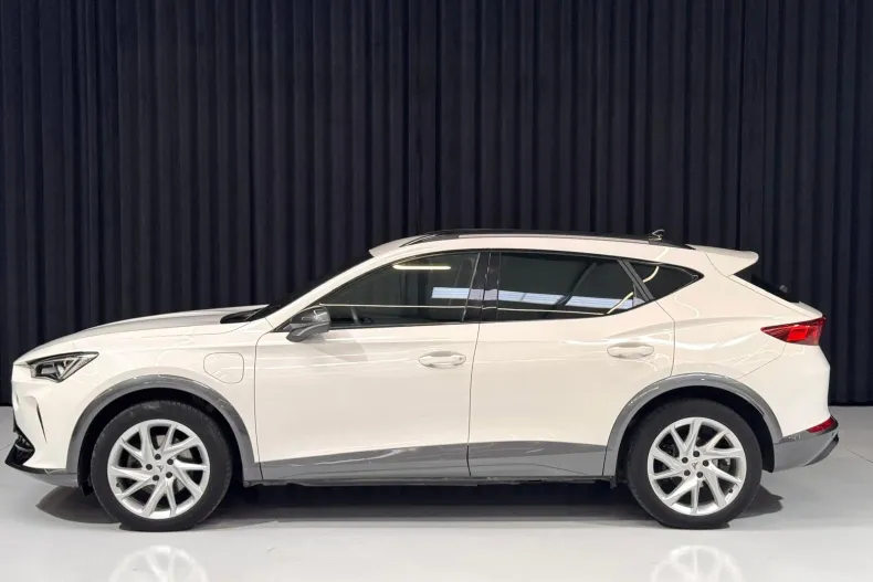 Cupra Formentor din 2021 cu 89.973 km - oferta CUP255898 - foto 12