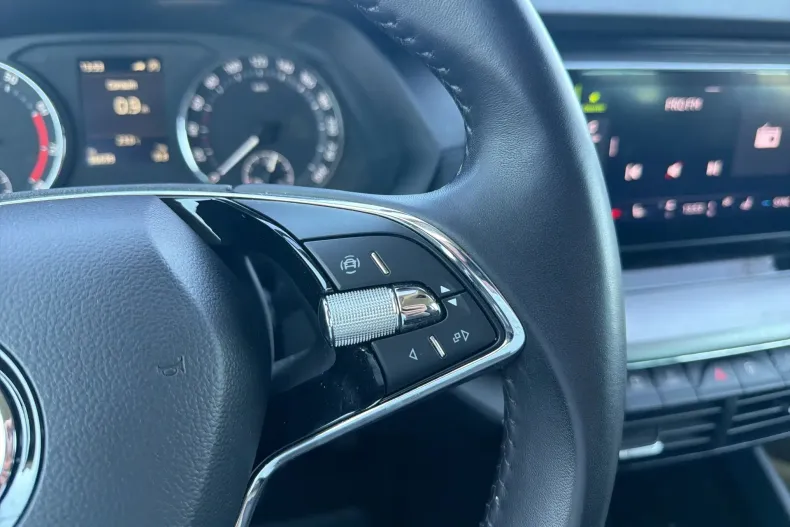 Skoda Octavia din 2022 cu 96.698 km - oferta SKO256273 - foto 19
