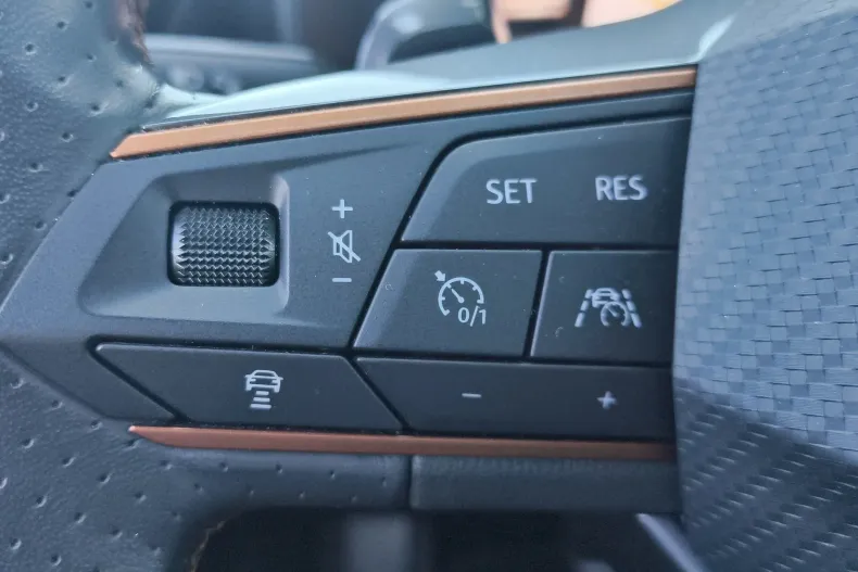 Cupra Formentor din 2022 cu 59.400 km - oferta CUP256312 - foto 28