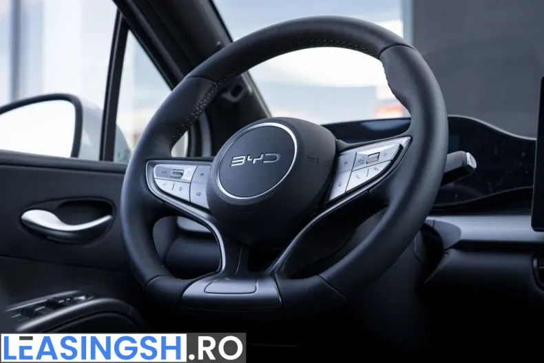 BYD Dolphin din 2026 cu 1 km - oferta BYD256337 - foto 15