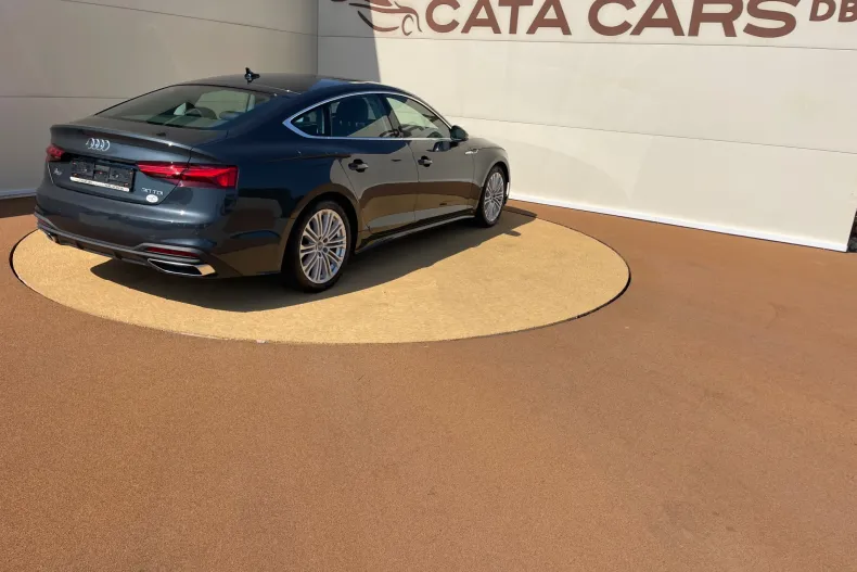 Audi A5 din 2020 cu 149.000 km - oferta AUD256662 - foto 14