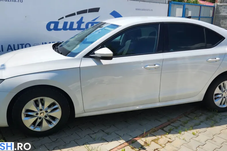 Skoda Octavia din 2021 cu 179.000 km - oferta SKO256734 - foto 21