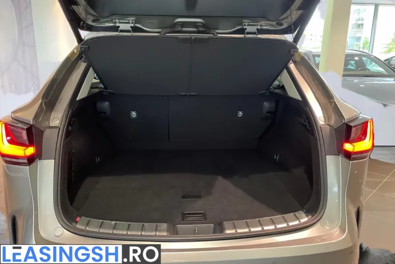 Lexus NX din 2023 cu 23.800 km - oferta LEX256871 - foto 25