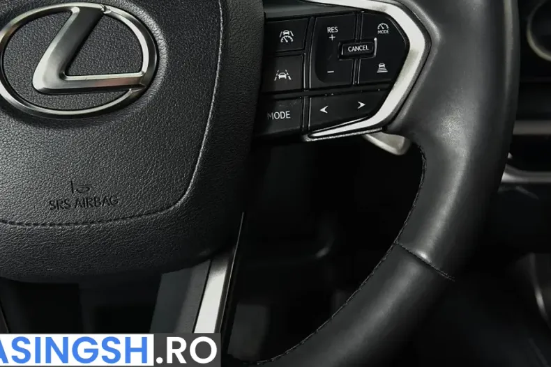 Lexus RX din 2024 cu 21.200 km - oferta LEX256873 - foto 13