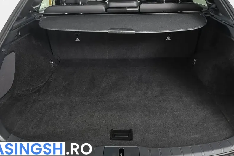 Lexus RX din 2024 cu 21.200 km - oferta LEX256873 - foto 19