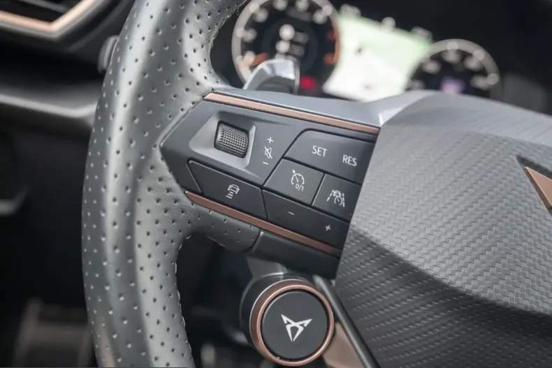 Cupra Formentor din 2024 cu 23.350 km - oferta CUP258081 - foto 21