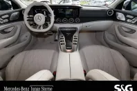 Mercedes-Benz AMG GT (Clasa GT) din 2023 cu 94.350 km - oferta MER258751 - foto 6