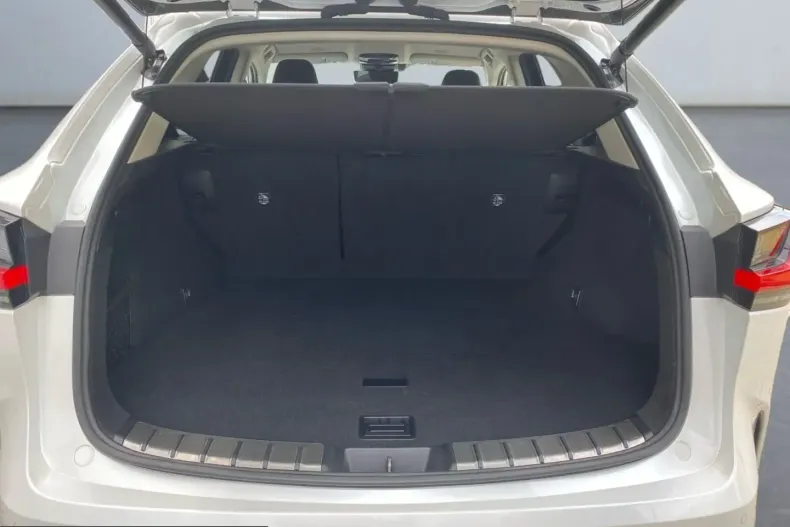 Lexus NX 450h din 2023 cu 34.163 km - oferta LEX260611 - foto 14